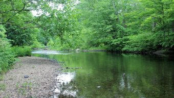 L’état de la ressource en eau devient préoccupant sur l’ensemble du Maine-et-Loire annonce la préfecture