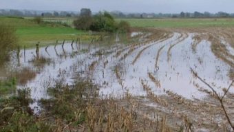 79 communes du Maine-et-Loire reconnues en calamité agricole lors des inondations de juin 2016