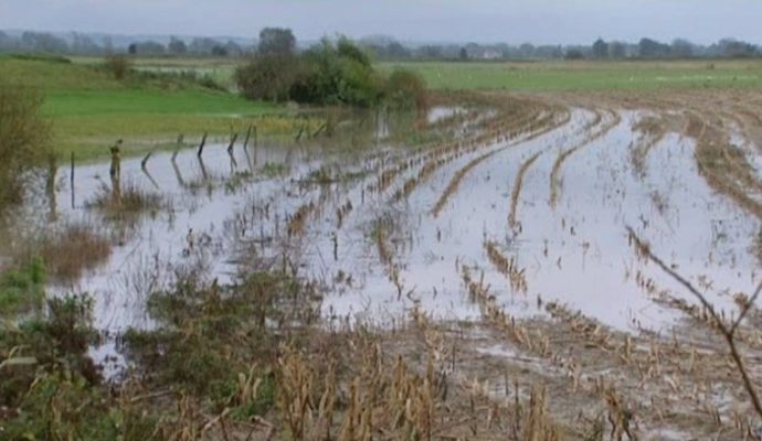 79 communes du Maine-et-Loire reconnues en calamité agricole lors des inondations de juin 2016