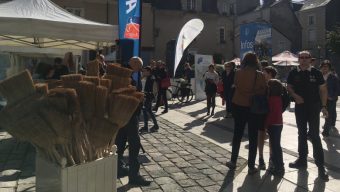 Journée citoyenne 2019 : les Angevins peuvent proposer leurs idées jusqu’au 31 janvier