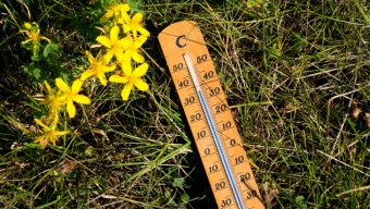 Record historique de chaleur pour Angers avec 40,7°C