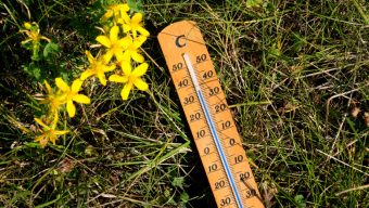 Canicule : le préfet interdit les manifestations en extérieur