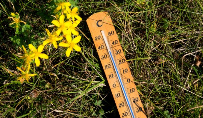 Record historique de chaleur pour Angers avec 40,7°C