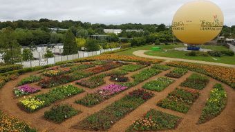 2ème édition de « La Féerie des dahlias » à Terra Botanica  jusqu’à fin septembre