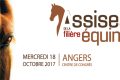 assises filière équine