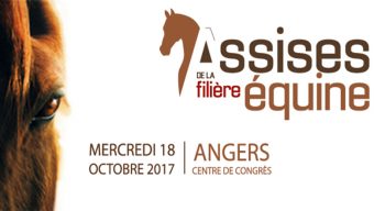 Angers accueille les Assises de la filière équine le 18 octobre