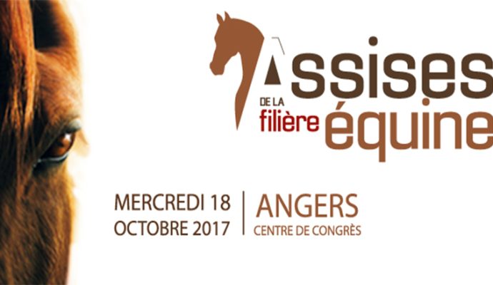 Angers accueille les Assises de la filière équine le 18 octobre