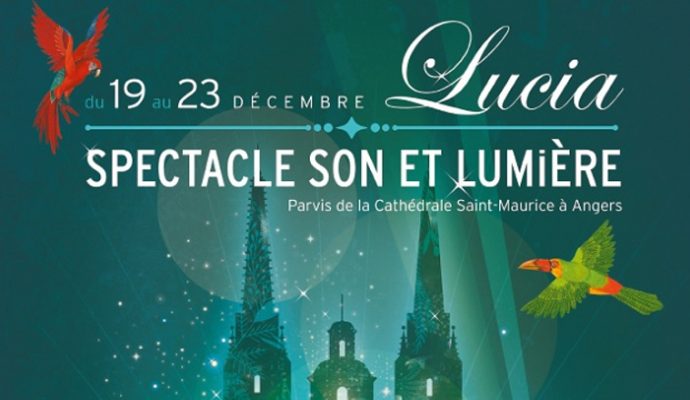 Lucia : Un son et lumière sur la cathédrale d’Angers du 19 au 23 décembre 2017