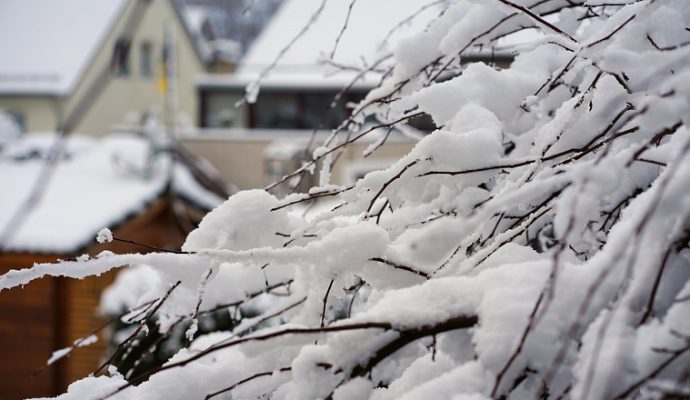 Neige : Les transports scolaires suspendus ce mercredi