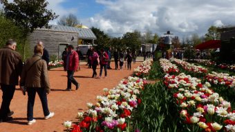 Coronavirus : Terra Botanica contraint d’annuler l’événement « Les Printemps de Terra »