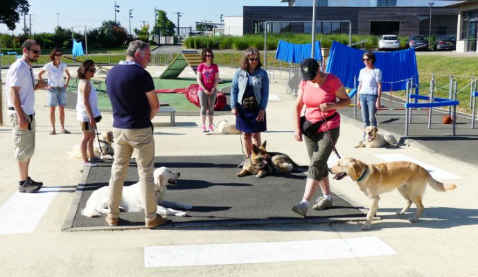 L’Association les Chiens Guides d’Aveugles de l’Ouest ouvre ses portes en ligne