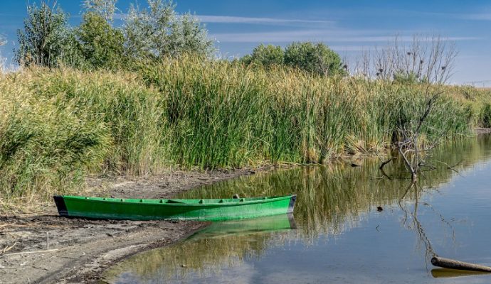 Malgré un mois de janvier arrosé, le manque d’eau reste d’actualité dans le Maine-et-Loire