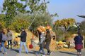 Terra Botanica Angers Fête de l'automne