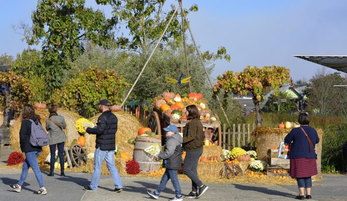 3ème édition de « La Fête de l’Automne » à Terra Botanica du 27 au 31 octobre : des animations et nouveautés