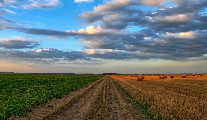 La préfecture suspend l’utilisation du produit phytosanitaire Métham Sodium