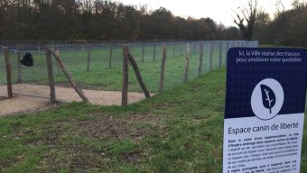 Un espace canin de liberté créé au parc Balzac