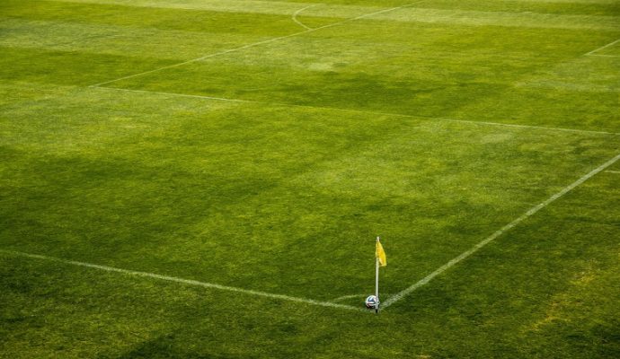 Football : Les U19 d’Angers SCO qualifiés pour la Youth League