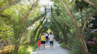 De nombreuses nouveautés à Terra Botanica