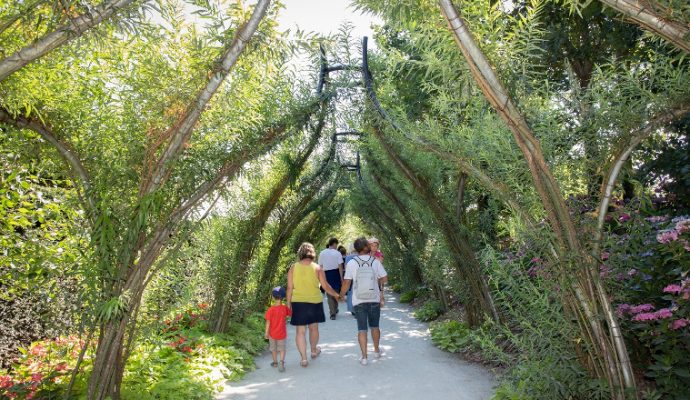 De nombreuses nouveautés à Terra Botanica