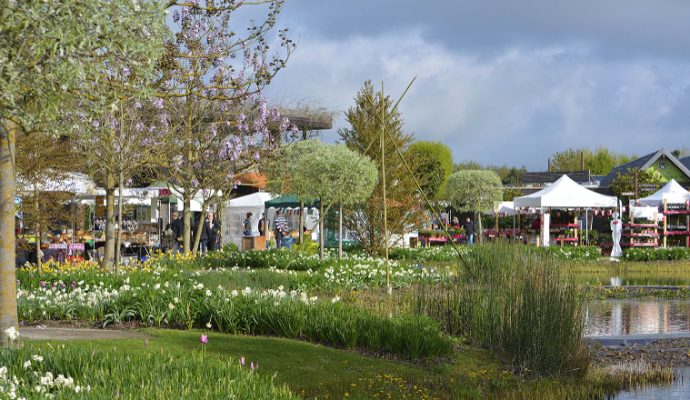 « Les Printemps de Terra » les samedi 30 et dimanche 31 mars