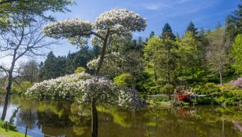 Le Parc Oriental rouvre ses portes le 15 mars pour une nouvelle saison