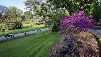 Canicule : les parcs et jardins de la ville ouverts jusqu’à 22h