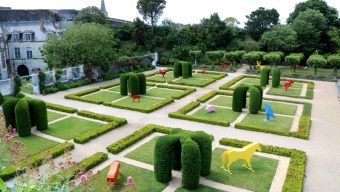 Le Château d’Angers accueille la ménagerie du Roi René jusqu’au 30 septembre