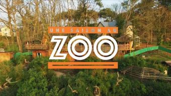 Une 11ème « Saison au Zoo » sur France 4 en cours de tournage au zoo de La Flèche