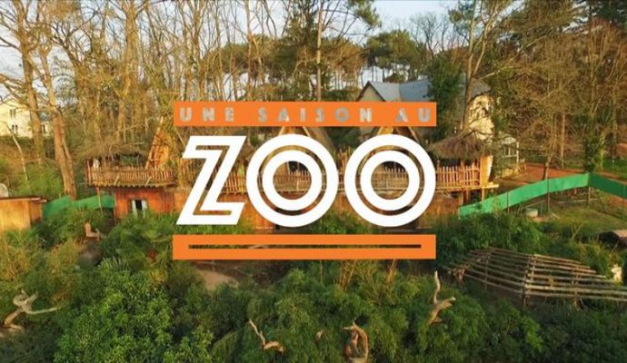 Une 11ème « Saison au Zoo » sur France 4 en cours de tournage au zoo de La Flèche