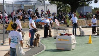L’école des chiens guides d’aveugles de l’Ouest ouvre ses portes le 25 septembre