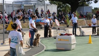 L’école des Chiens guides d’aveugles de l’Ouest ouvre ses portes le 24 septembre