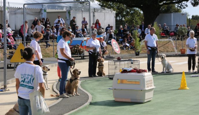 L’école des chiens guides d’aveugles de l’Ouest va ouvrir ses portes au public le dimanche 25 septembre