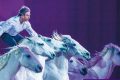 Etoiles Equestres