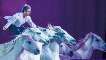 Le Salon du Cheval d’Angers lance la première saison d’« Étoiles Équestres »