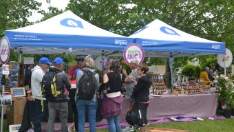 Journées du patrimoine : 1er marché de l’Anjou ce dimanche