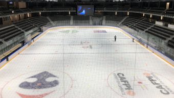 Découvrez en avant-première Angers IceParc