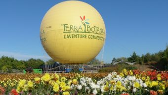 Encore trois semaines pour profiter de Terra Botanica