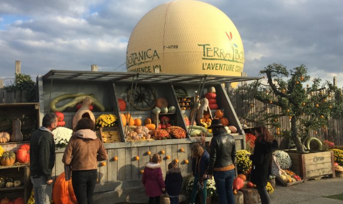 Expositions, visites, concert… Nos idées de sorties pour ce week-end à Angers