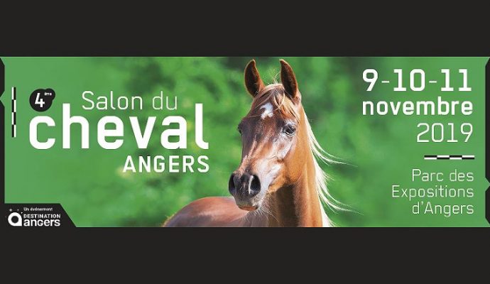 Le Salon du Cheval de retour du 9 au 11 novembre