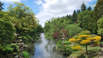 Record de fréquentation pour le Parc Oriental de Maulévrier