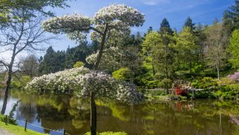 Le parc oriental de Maulévrier rouvre le 15 mars