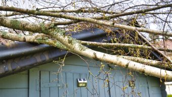 Tempête Dennis : de nombreuses interventions et plus de 6 000 foyers sans électricité dans le Maine-et-Loire