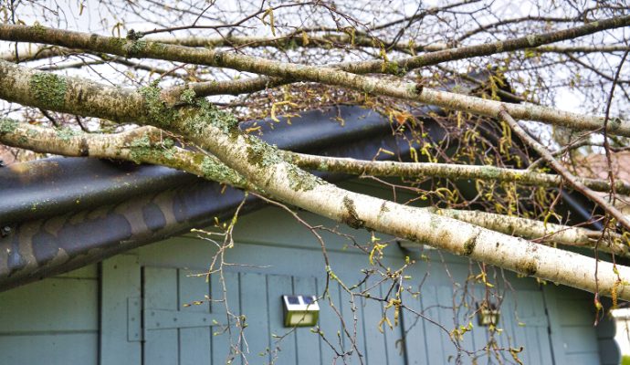 Tempête Dennis : de nombreuses interventions et plus de 6 000 foyers sans électricité dans le Maine-et-Loire