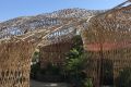 Oasis en bambous Terra Botanica