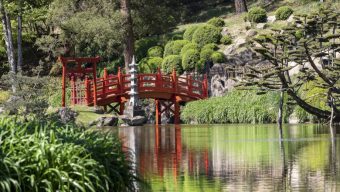 Les touristes de retour au Parc Oriental de Maulévrier