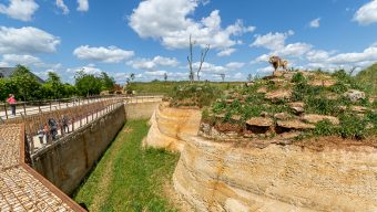 Le cratère des carnivores : grande nouveauté du Bioparc de Doué-la-Fontaine