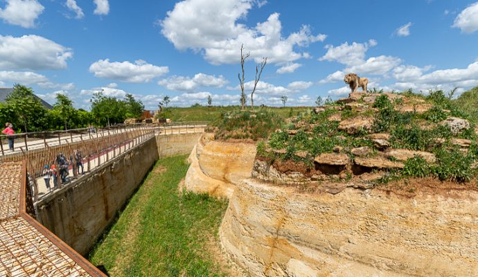 Le cratère des carnivores : grande nouveauté du Bioparc de Doué-la-Fontaine