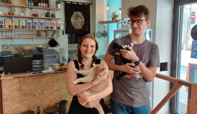 Le Premier Bar A Chats D Angers Ouvre Rue De La Roe Actualite Angers Villactu