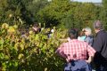 Musée de la vigne et du vin d'Anjou