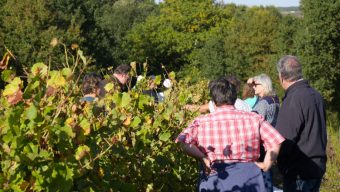 Le Musée de la vigne et du vin d’Anjou s’anime pour les Journées du patrimoine